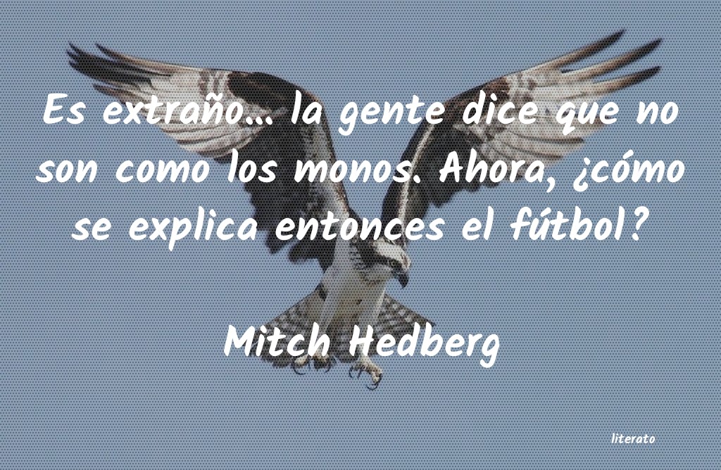 Frases de Mitch Hedberg