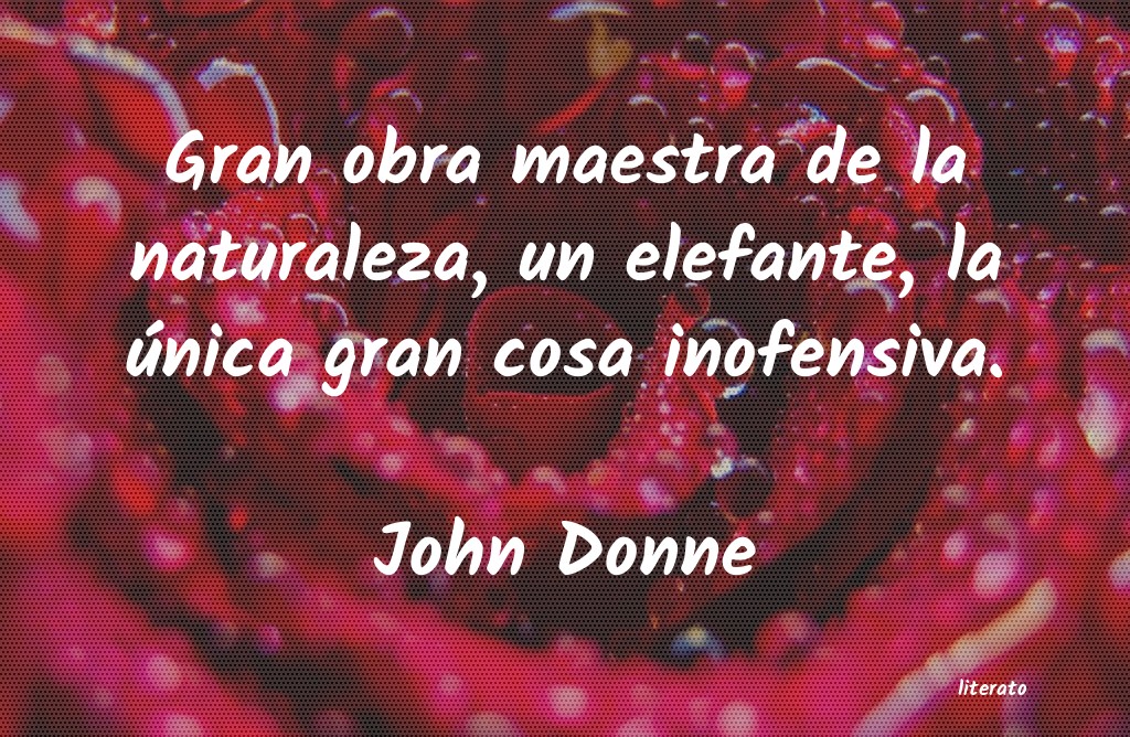 Frases de John Donne