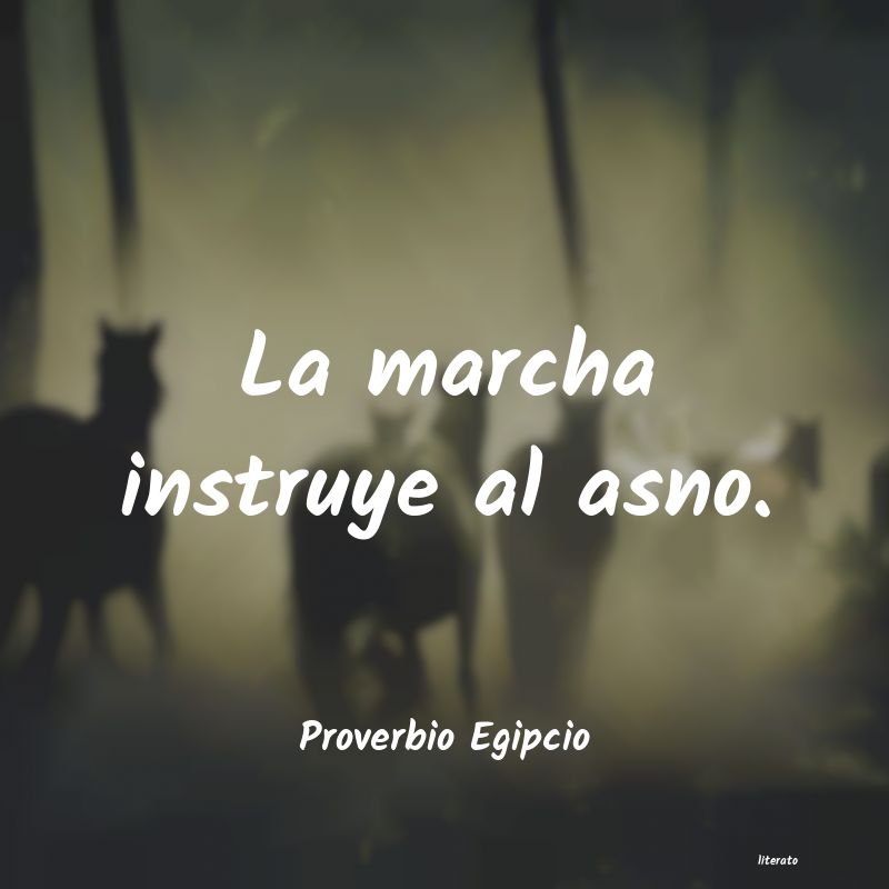 Frases de Proverbio Egipcio