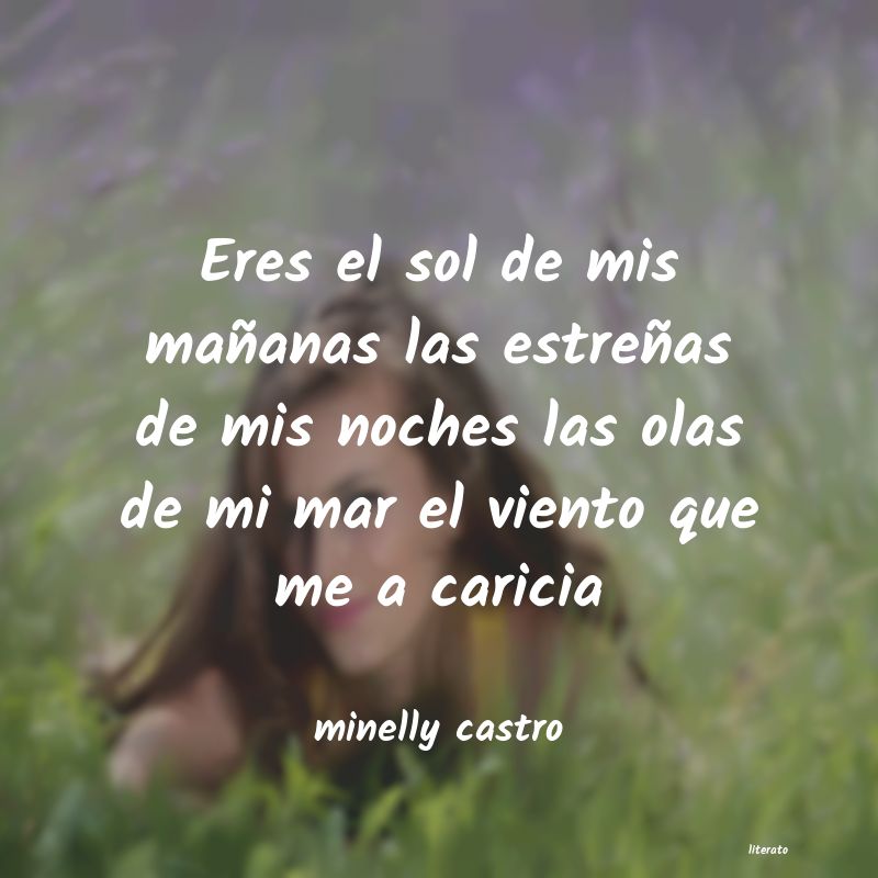 frases de minelly castro