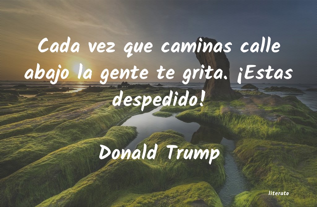 Frases de Donald Trump