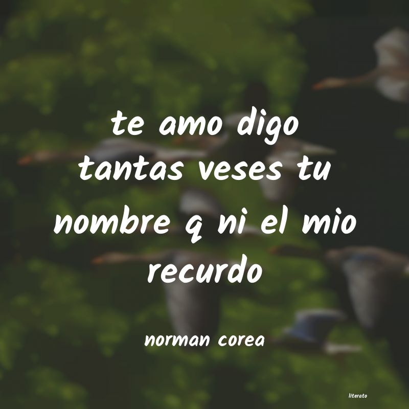 Frases de norman corea