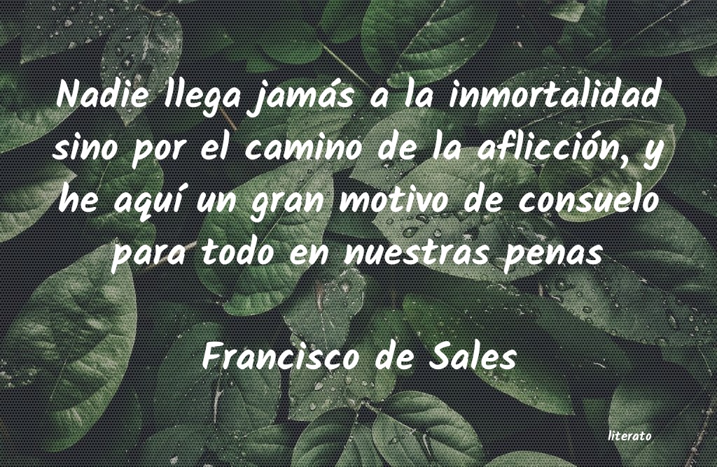 frases de Francisco de Sales