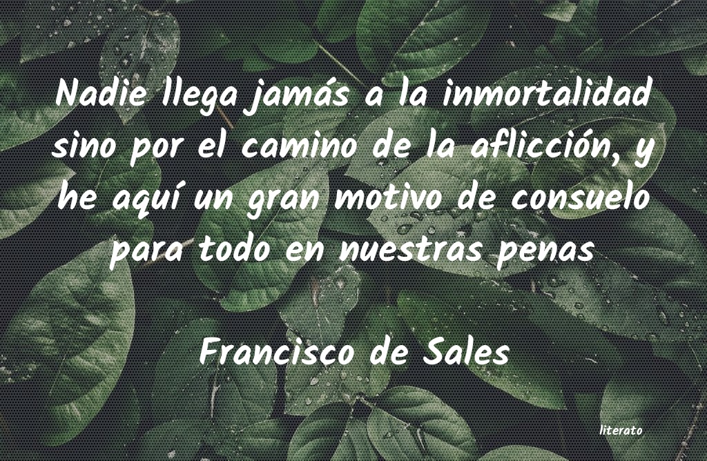 Frases de Francisco de Sales