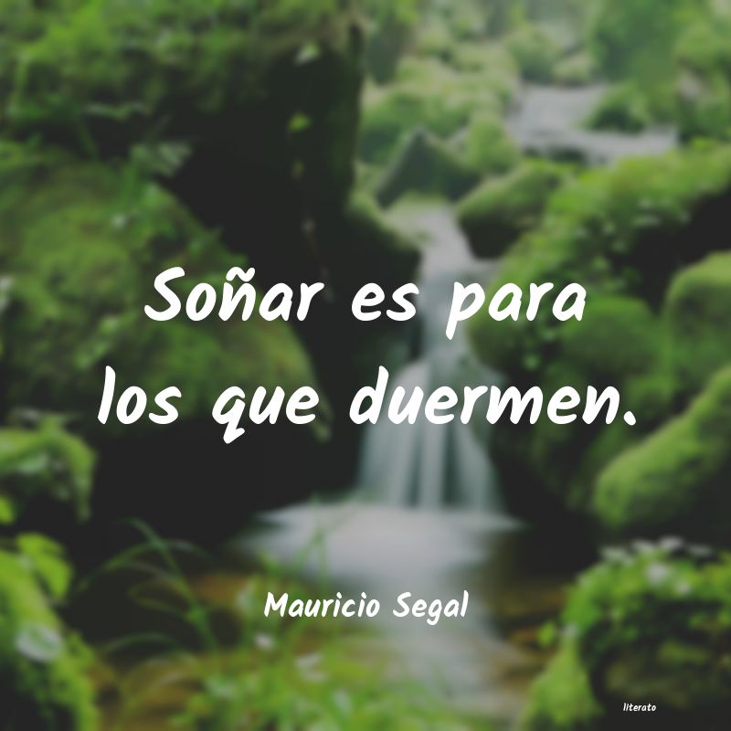 frases de Mauricio Segal