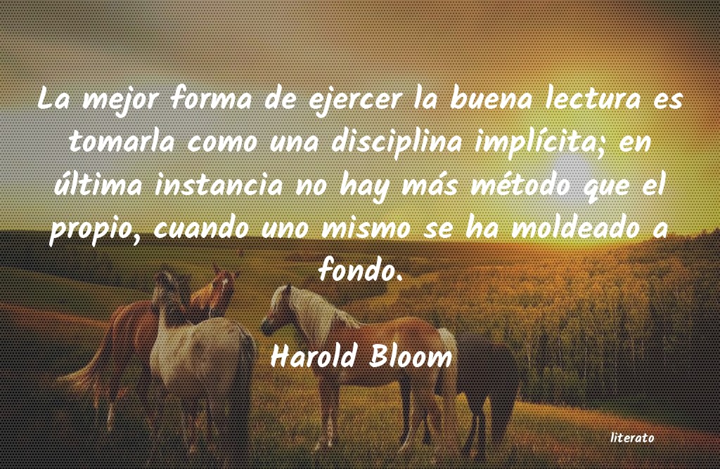 Frases de Harold Bloom