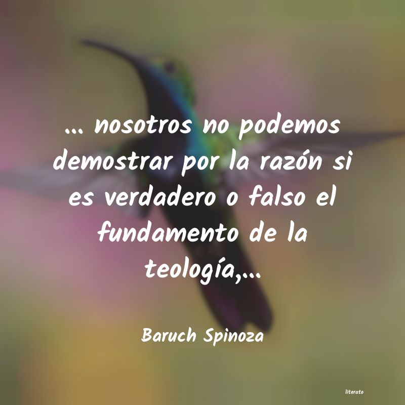 Frases de Baruch Spinoza