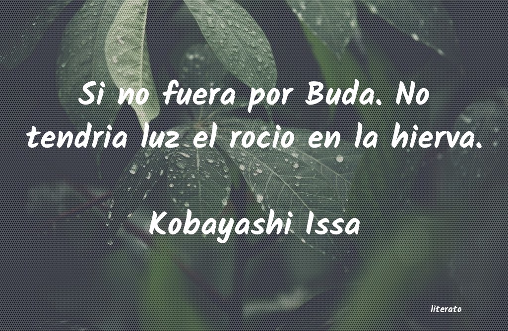 Frases de Kobayashi Issa