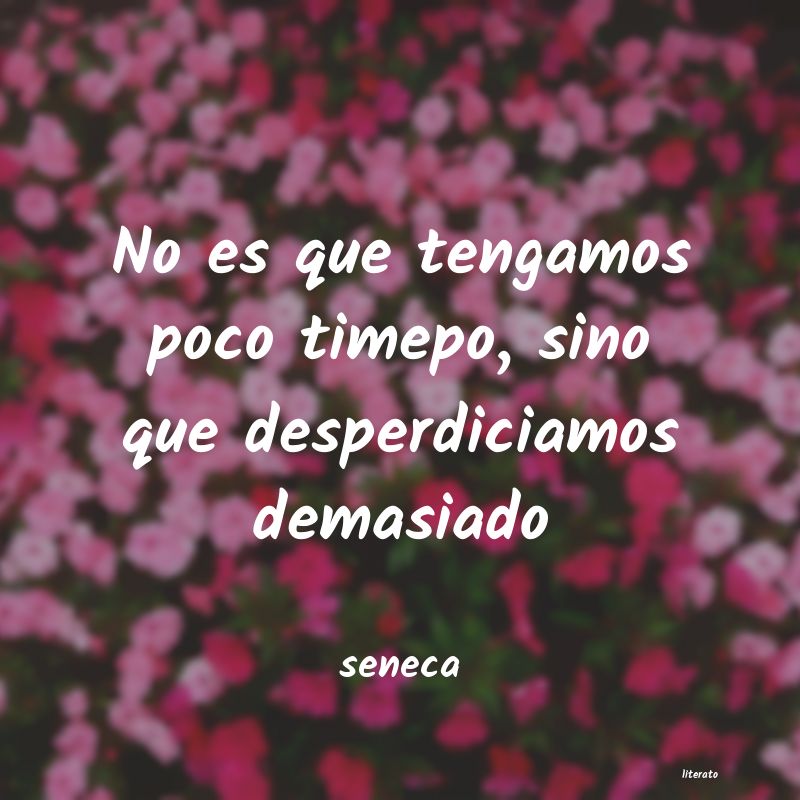 Frases de seneca