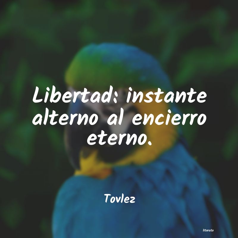 frases de Tovlez