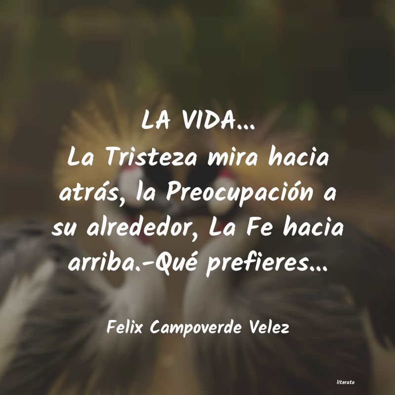 frases de Felix Campoverde Velez