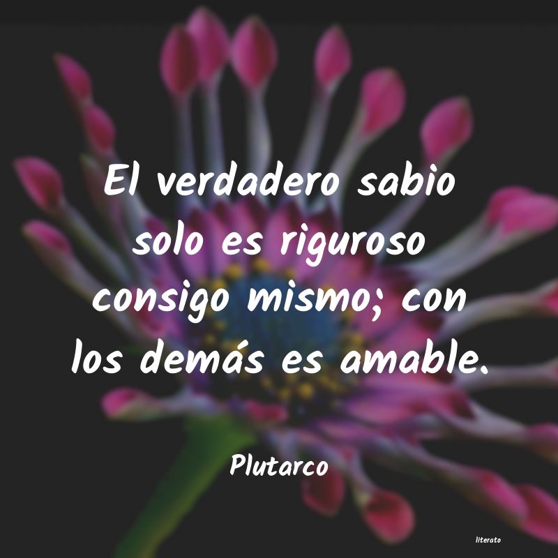 frases de ser amable