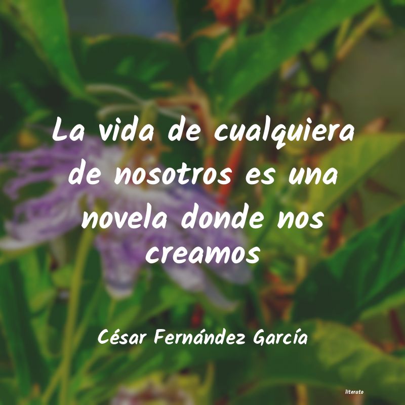 Frases de César Fernández García