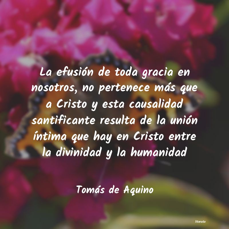 Frases de Tomás de Aquino