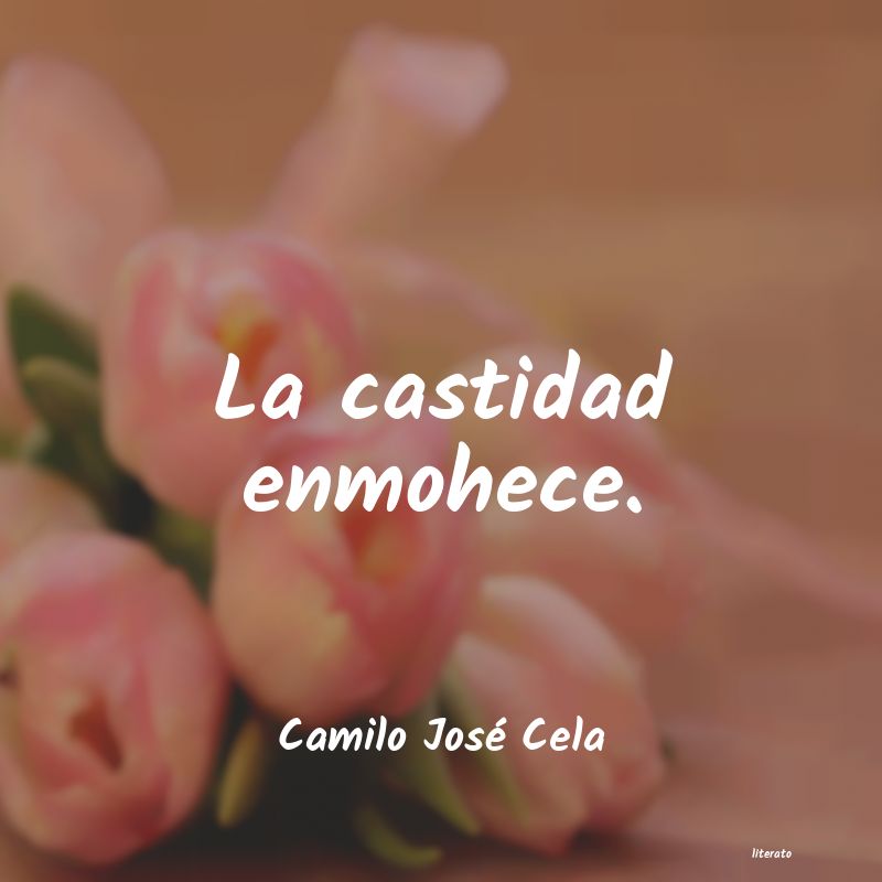 Frases de Camilo José Cela