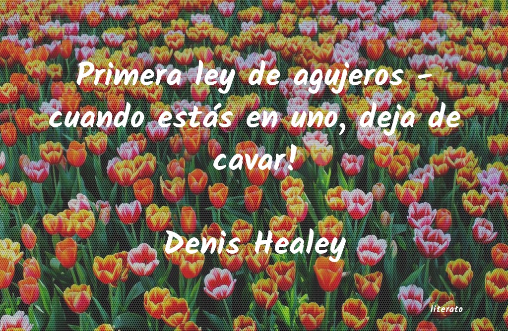 frases de Denis Healey