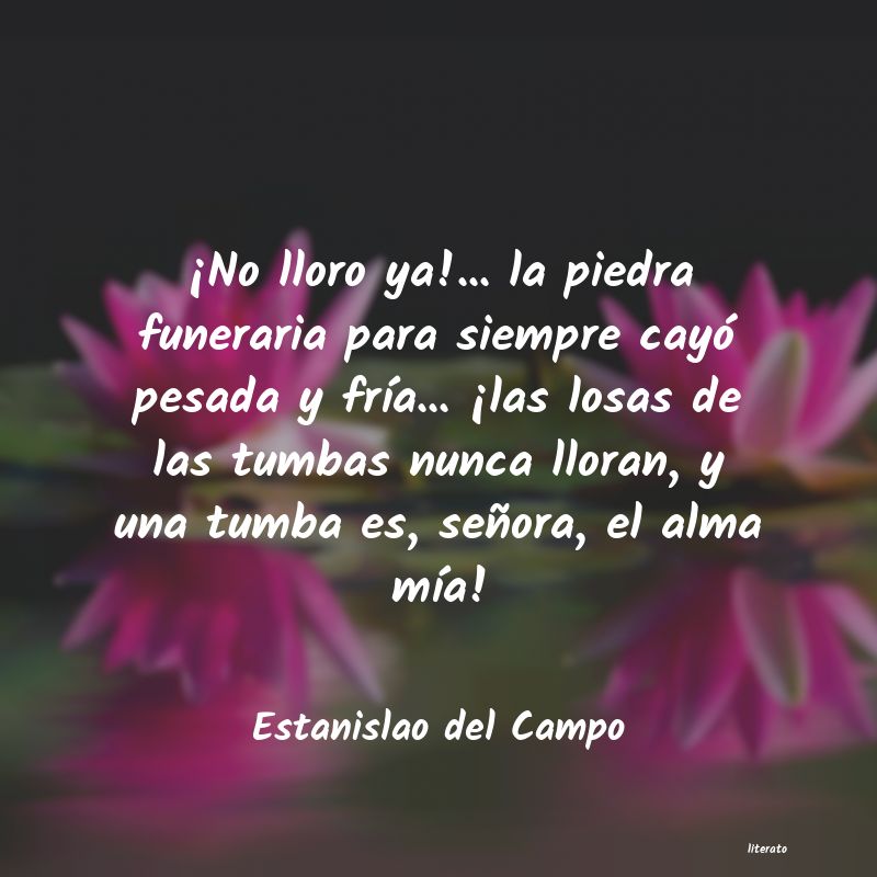 Frases de Estanislao del Campo