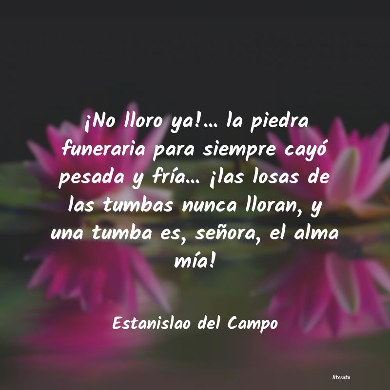 frases de Estanislao del Campo