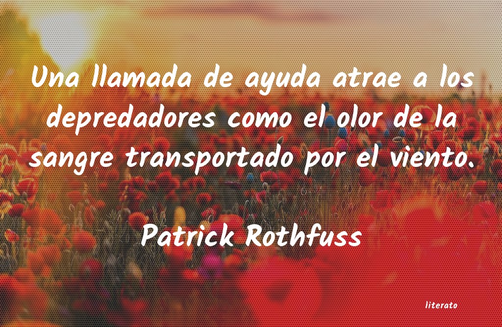 Frases de Patrick Rothfuss