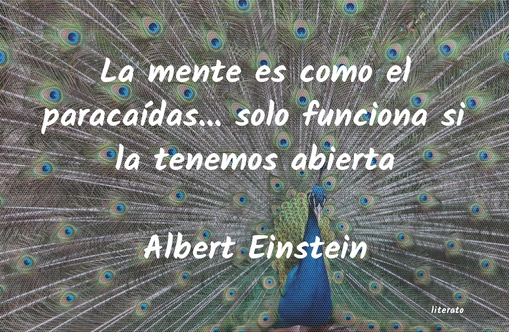 albert einstein citas simple