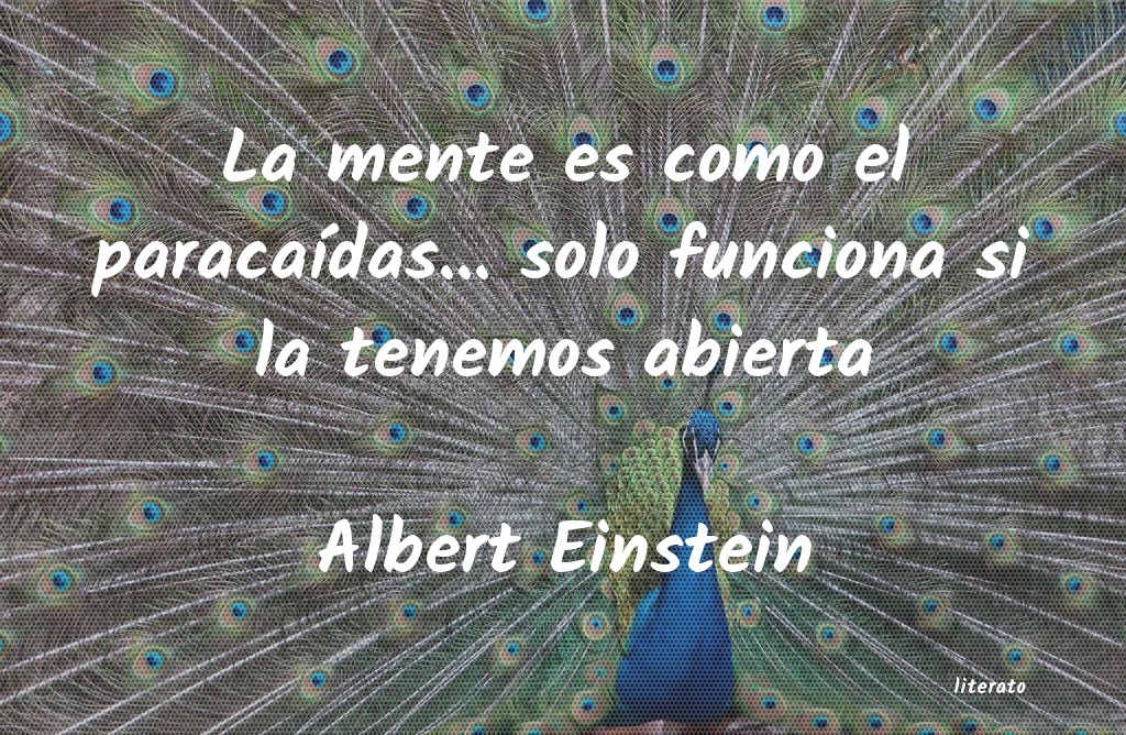 Frases de Albert Einstein