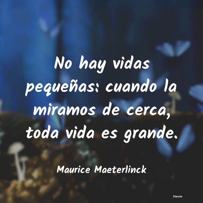 frases de Maurice Maeterlinck