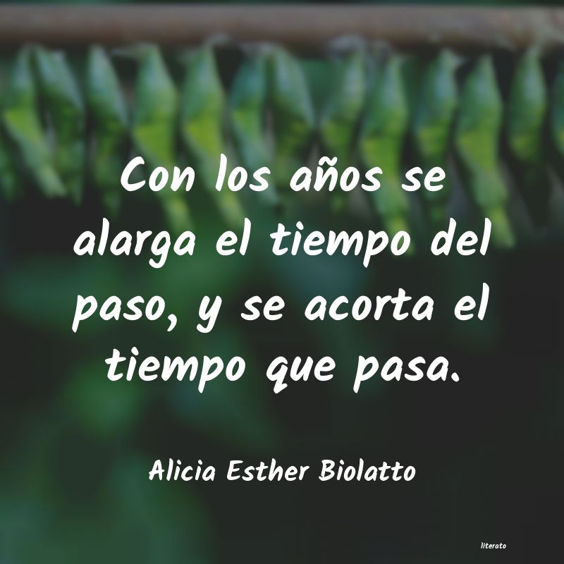 Frases de Alicia Esther Biolatto