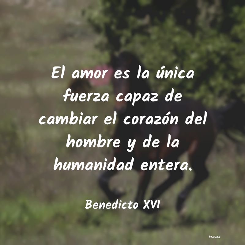 Frases de Benedicto XVI