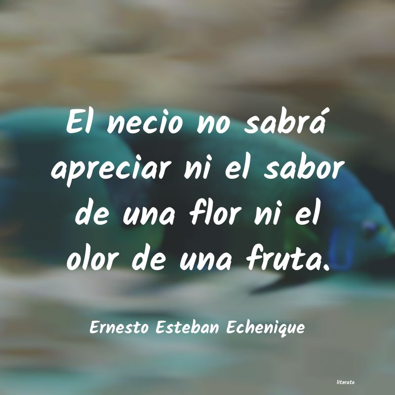 Frases de Ernesto Esteban Echenique