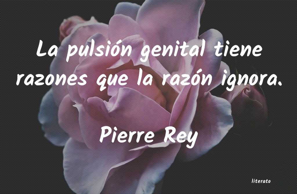 frases de Pierre Rey