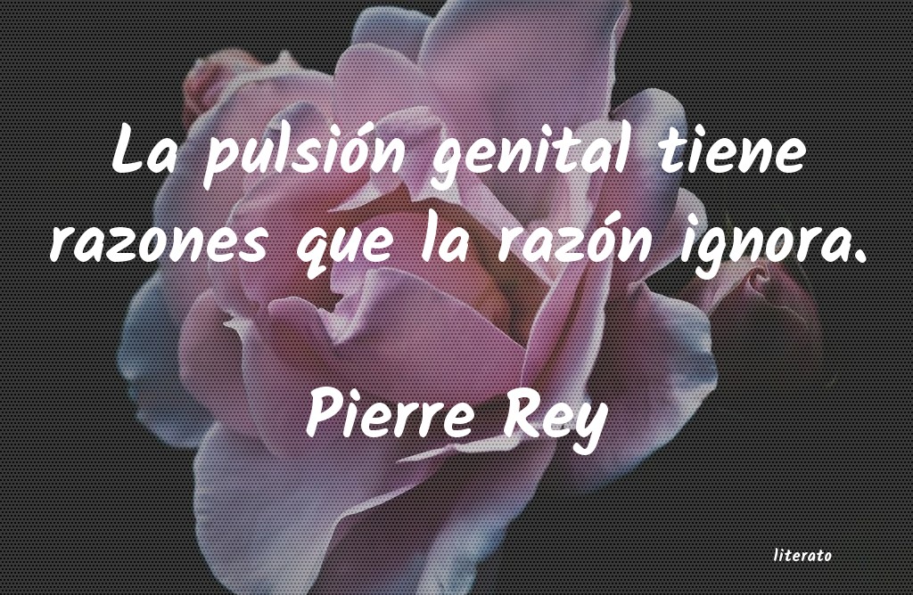 Frases de Pierre Rey