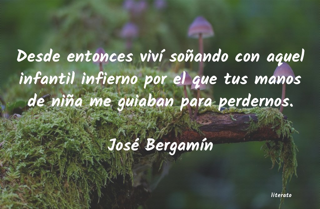 Frases de José Bergamín
