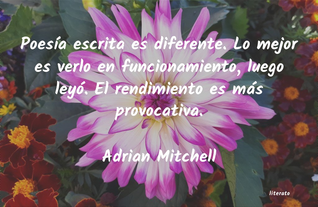 Frases de Adrian Mitchell