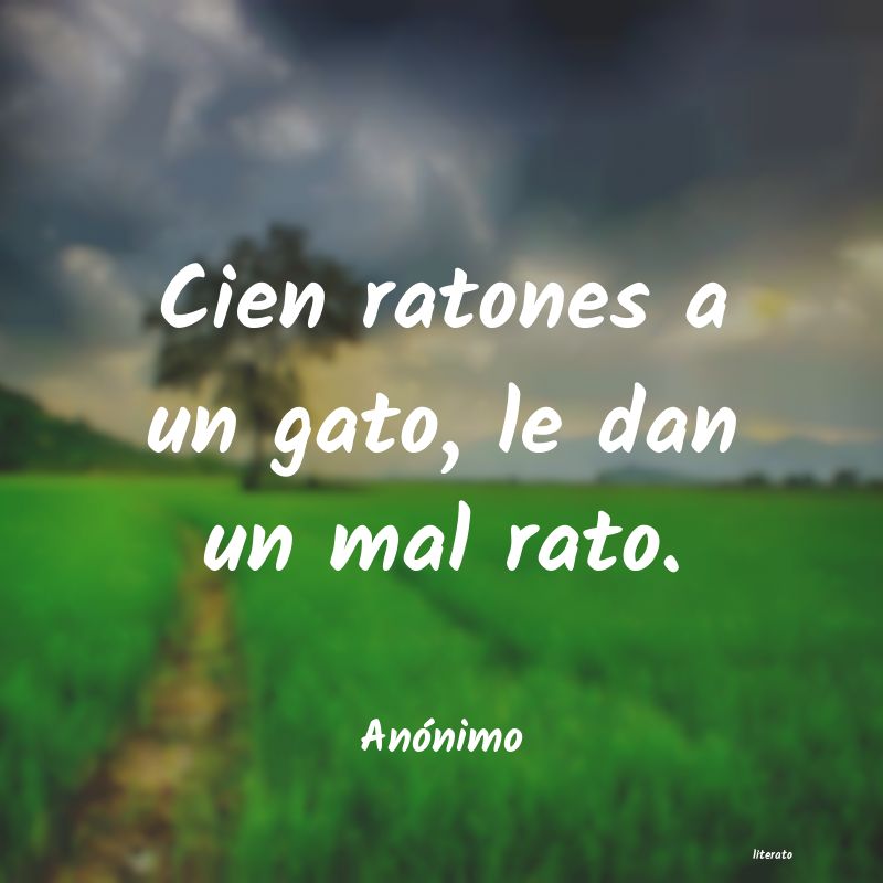 Frases de