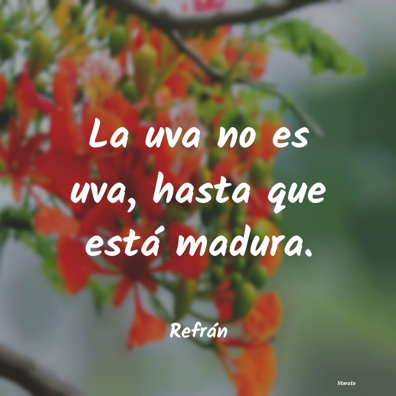 frases de RefrÃ¡n