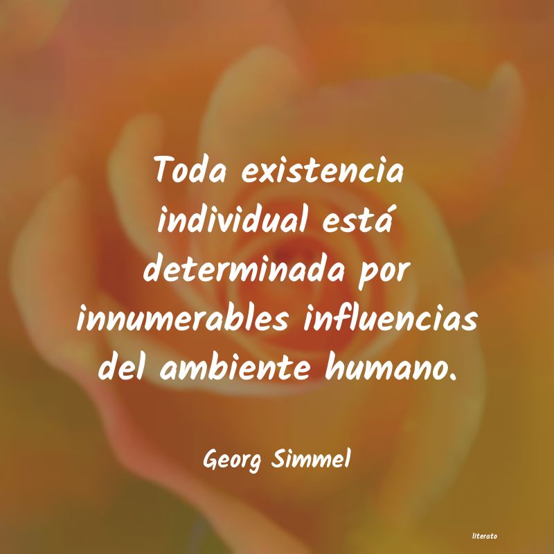 frases de Georg Simmel