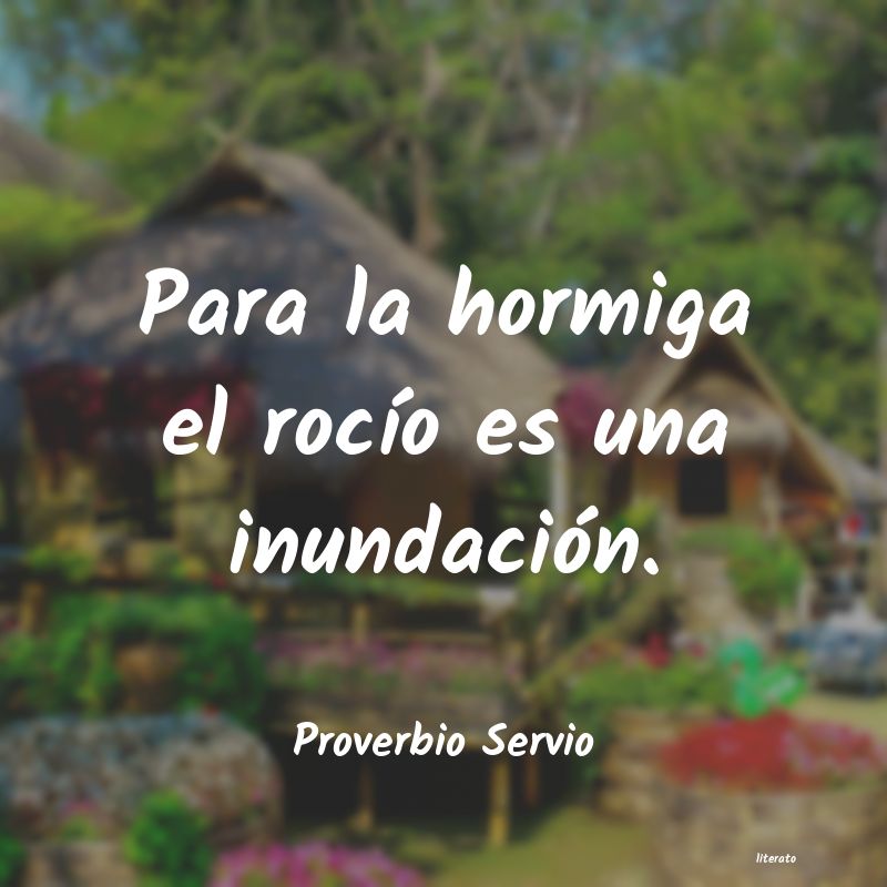 Frases de Proverbio Servio