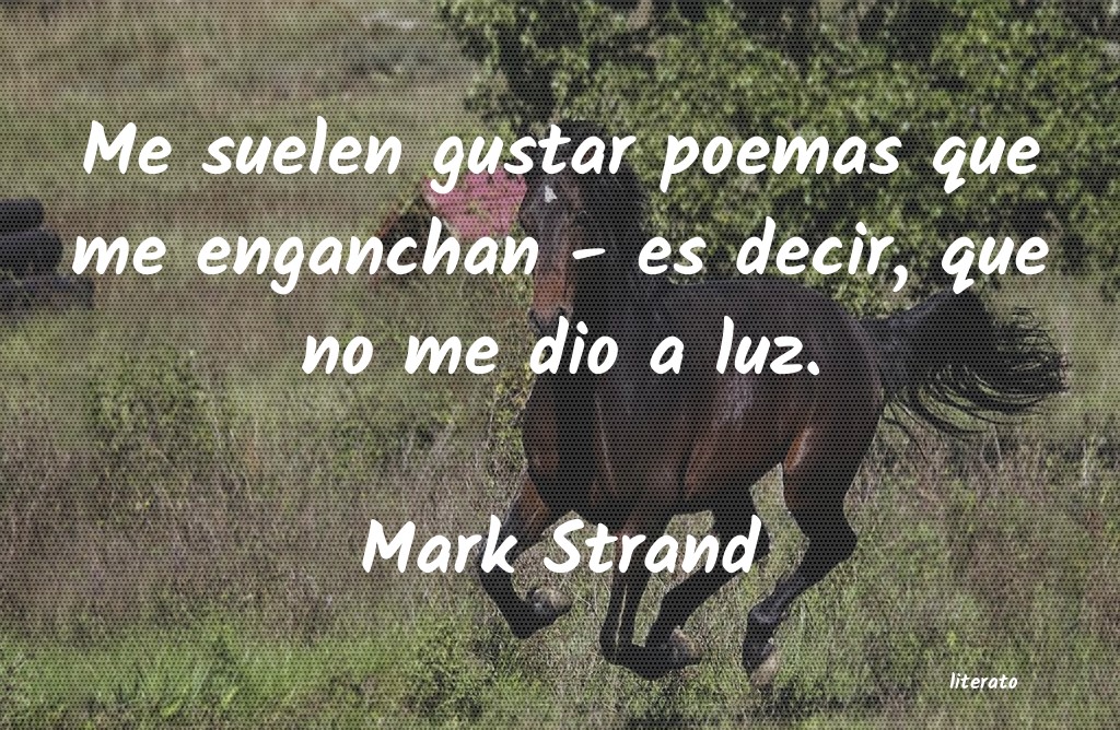 Frases de Mark Strand