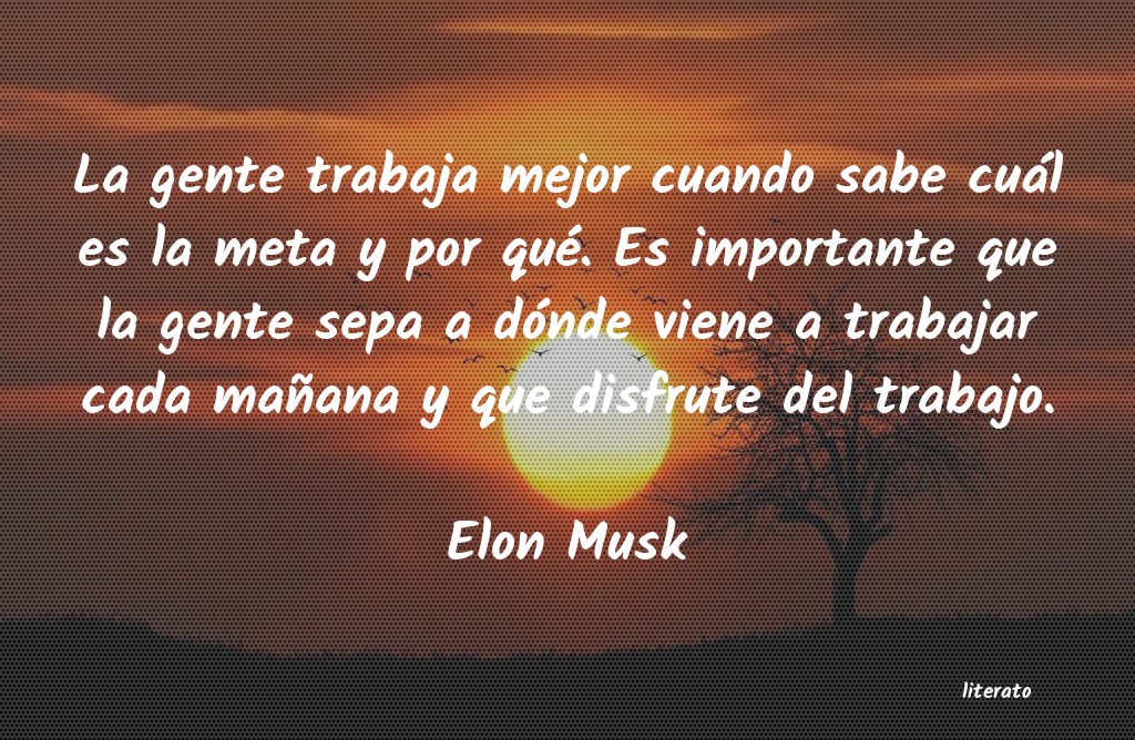 frases de Elon Musk