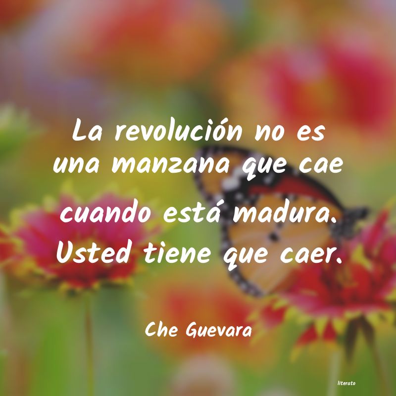 frases de Che Guevara