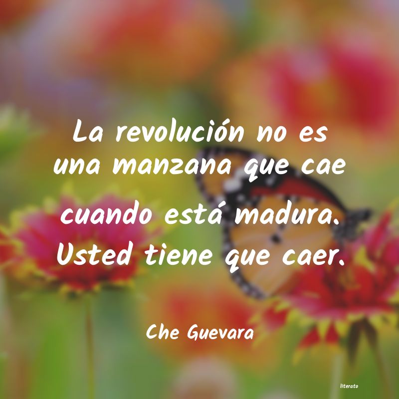 Frases de Che Guevara