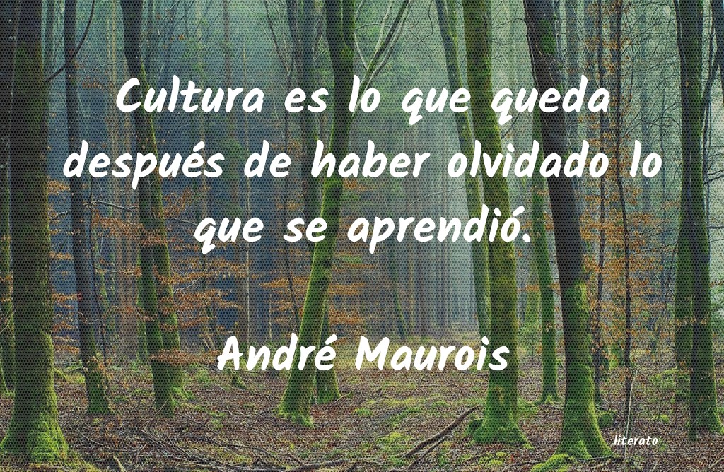 Frases de André Maurois