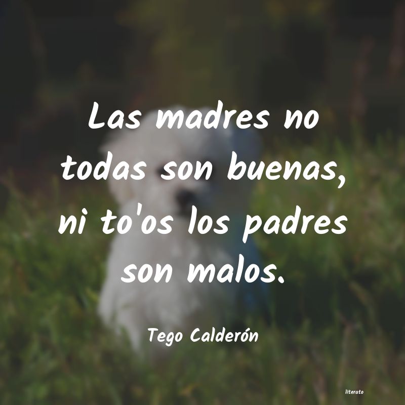 frases de Tego Calderón