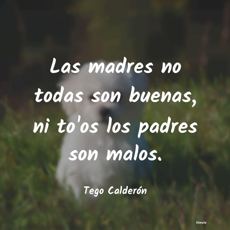 Frases de Tego Calderón