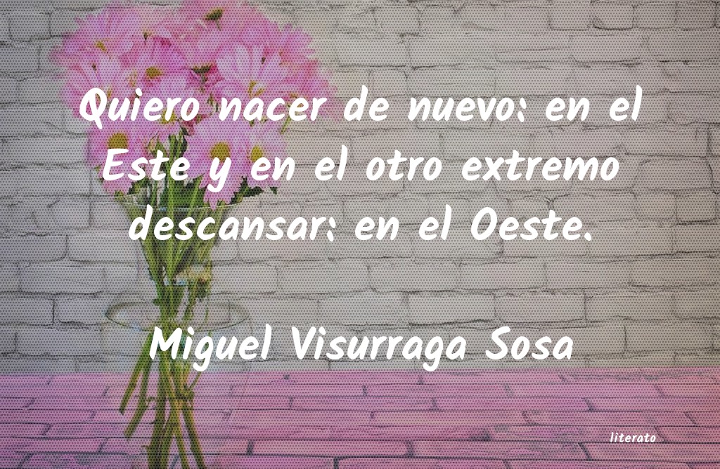 Frases de Miguel Visurraga Sosa