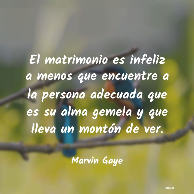 Frases de Marvin Gaye