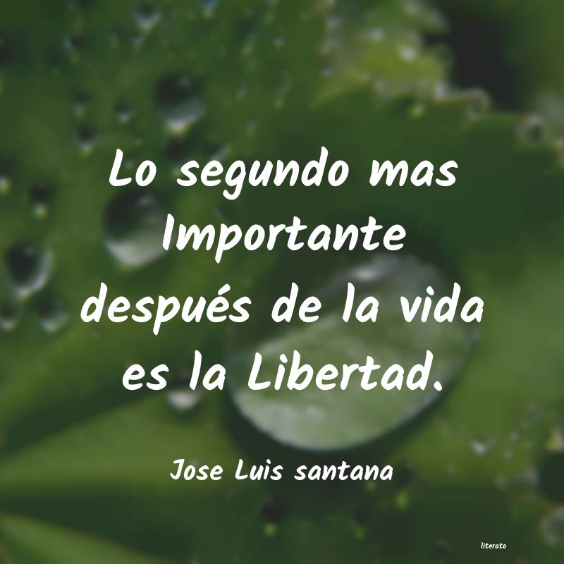 Frases de Jose Luis santana
