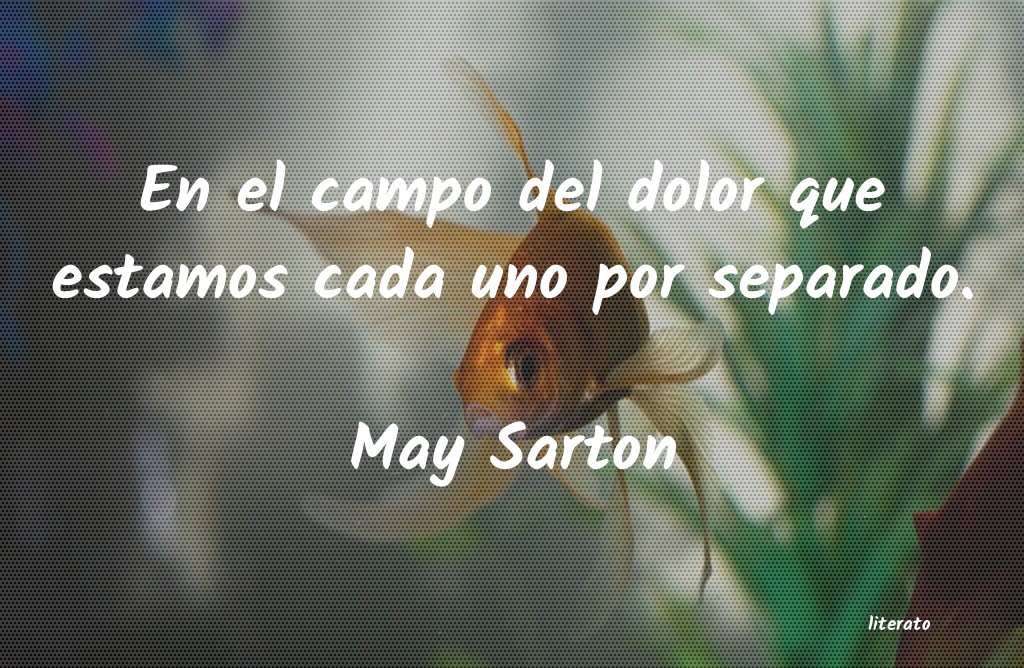 frases de May Sarton