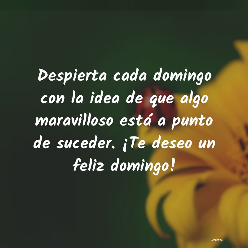frases
