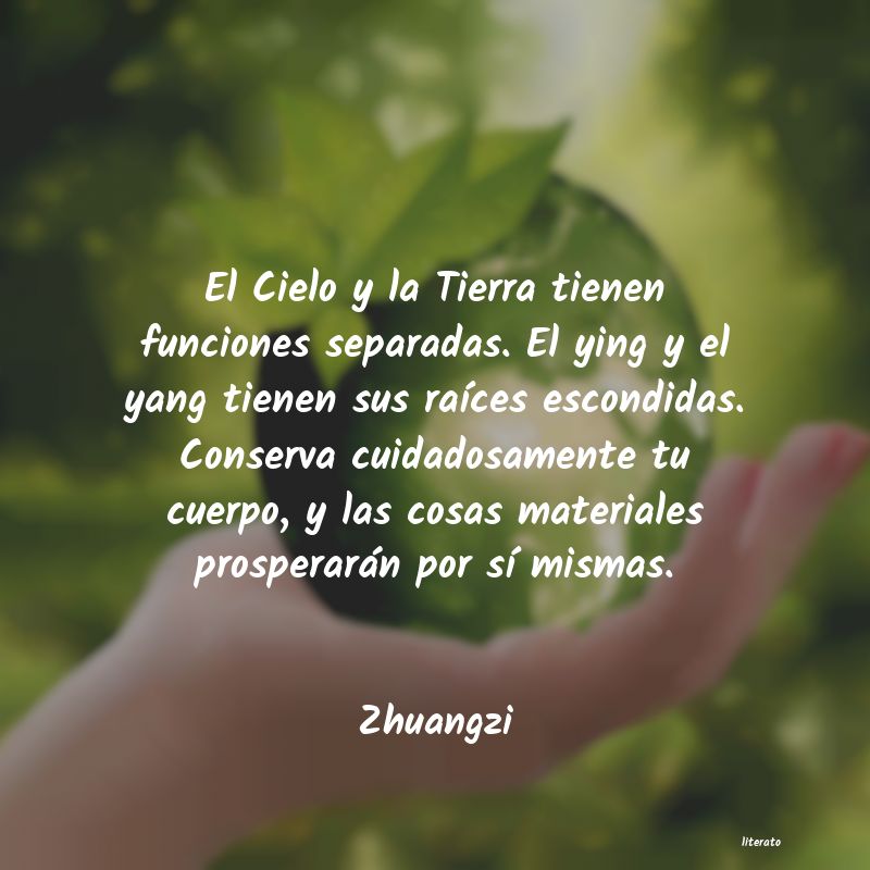 frases de Zhuangzi